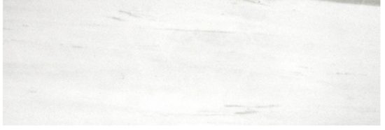 Polished Devotion 4X12 | Glens Falls Tile & Supplies