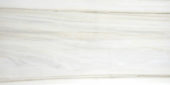 Polished Enchantment 16X32 | Glens Falls Tile & Supplies