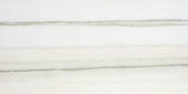 Polished Enchantment 16X32 | Glens Falls Tile & Supplies