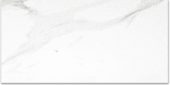 Polished Infatuation 12X24 | Glens Falls Tile & Supplies