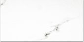 Polished Infatuation 12X24 | Glens Falls Tile & Supplies