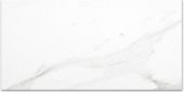 Polished Infatuation 16X32 | Glens Falls Tile & Supplies