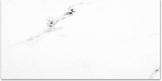 Polished Infatuation 16X32 | Glens Falls Tile & Supplies