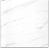 Polished Infatuation 24X24 | Glens Falls Tile & Supplies