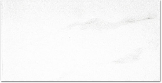 Polished Infatuation 24X48 | Glens Falls Tile & Supplies