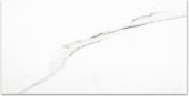 Polished Infatuation 24X48 | Glens Falls Tile & Supplies