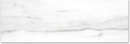 Polished Infatuation 4X12 | Glens Falls Tile & Supplies