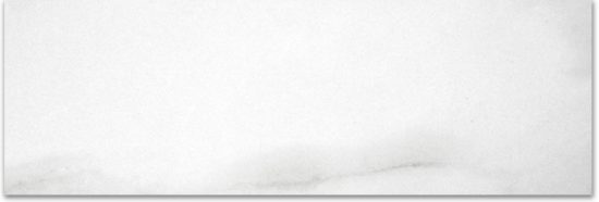 Polished Infatuation 4X12 | Glens Falls Tile & Supplies
