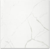 Polished Love 24X24 | Glens Falls Tile & Supplies
