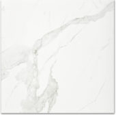 Polished Love 24X24 | Glens Falls Tile & Supplies