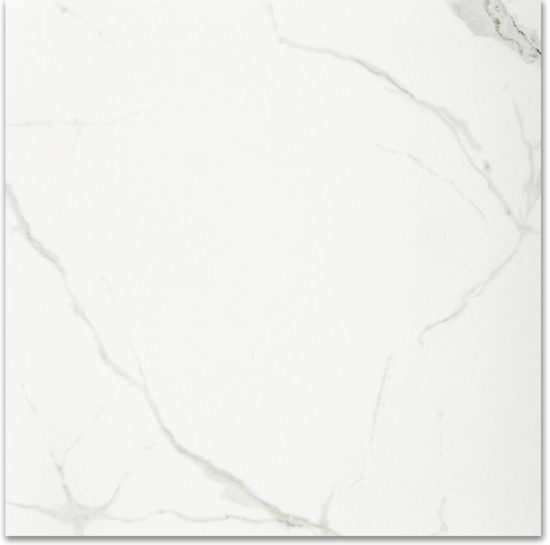 Polished Love 24X24 | Glens Falls Tile & Supplies