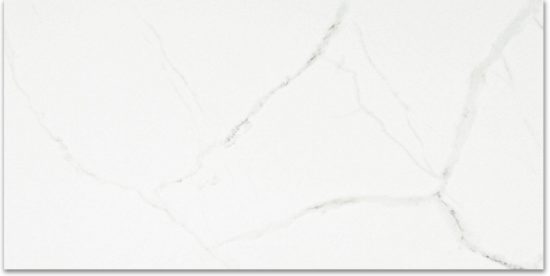 Polished Love 24X48 | Glens Falls Tile & Supplies
