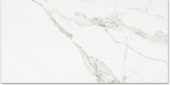 Polished Love 24X48 | Glens Falls Tile & Supplies