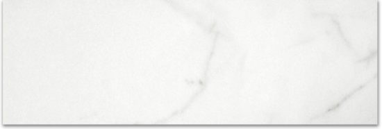 Polished Love 4X12 | Glens Falls Tile & Supplies