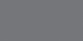 Polished Tokyo 12X24 | Glens Falls Tile & Supplies
