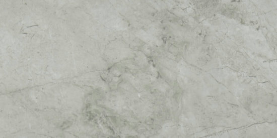 Roma Argento Honed 12X24 | Glens Falls Tile & Supplies
