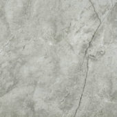 Roma Argento Honed 24X24 | Glens Falls Tile & Supplies