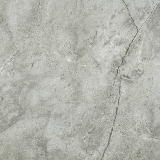 Roma Argento Honed 24X24 | Glens Falls Tile & Supplies