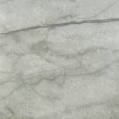 Roma Argento Honed 24X24 | Glens Falls Tile & Supplies
