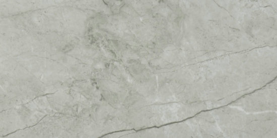 Roma Argento Honed 24X48 | Glens Falls Tile & Supplies