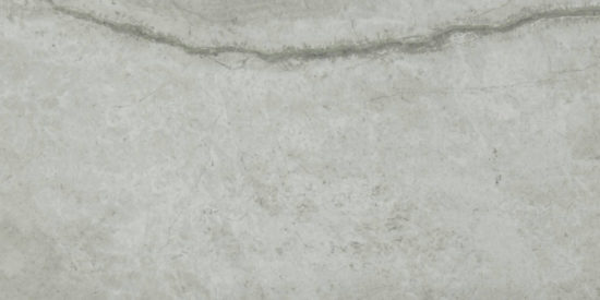 Roma Argento Honed 24X48 | Glens Falls Tile & Supplies
