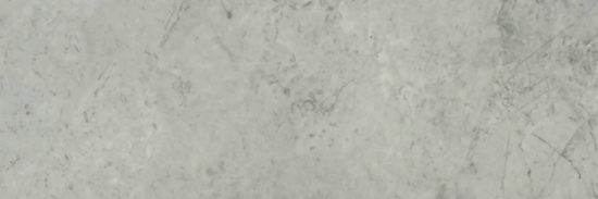 Roma Argento Honed 4X12 | Glens Falls Tile & Supplies