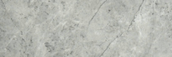 Roma Argento Honed 4X12 | Glens Falls Tile & Supplies