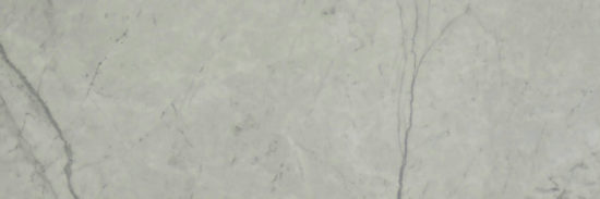 Roma Argento Honed 4X12 | Glens Falls Tile & Supplies