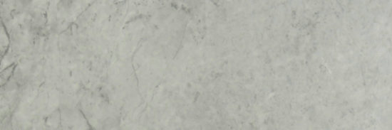 Roma Argento Honed 4X12 | Glens Falls Tile & Supplies