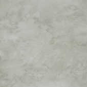 Roma Argento Polished 32X32 | Glens Falls Tile & Supplies