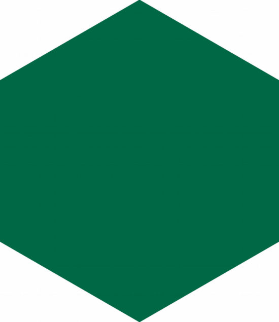 Ronda 5.5X6.3” Green Hexagon | Glens Falls Tile & Supplies