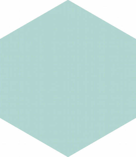 Ronda 5.5X6.3” Mint Hexagon | Glens Falls Tile & Supplies