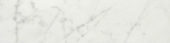 San Giulio Gioia Honed 3X12 Bullnose | Glens Falls Tile & Supplies