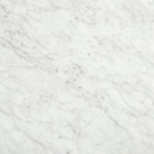 San Giulio Gioia Polished 24X24 | Glens Falls Tile & Supplies