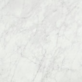 San Giulio Gioia Polished 24X24 | Glens Falls Tile & Supplies