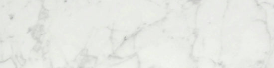 San Giulio Gioia Polished 3X12 Bullnose | Glens Falls Tile & Supplies