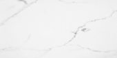 Statuario Venezia Honed 12X24 | Glens Falls Tile & Supplies