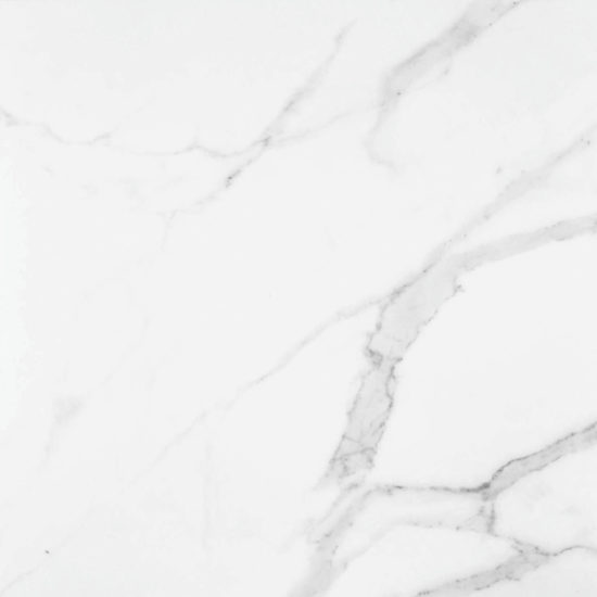 Statuario Venezia Honed 24X24 | Glens Falls Tile & Supplies