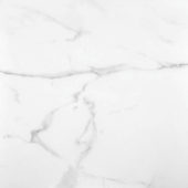 Statuario Venezia Honed 24X24 | Glens Falls Tile & Supplies