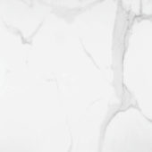 Statuario Venezia Honed 24X24 | Glens Falls Tile & Supplies
