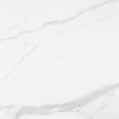 Statuario Venezia Honed 24X24 | Glens Falls Tile & Supplies