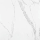 Statuario Venezia Honed 24X24 | Glens Falls Tile & Supplies