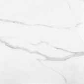 Statuario Venezia Honed 24X24 | Glens Falls Tile & Supplies
