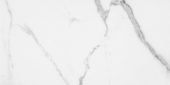 Statuario Venezia Honed 24X48 | Glens Falls Tile & Supplies