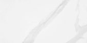Statuario Venezia Honed 24X48 | Glens Falls Tile & Supplies