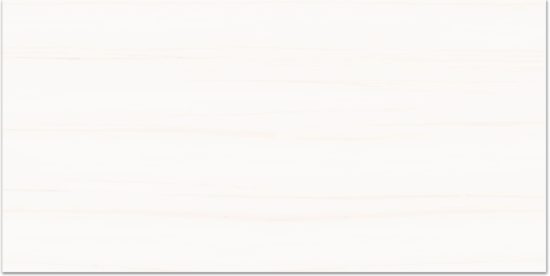 Treasure Ultimate Dolomite 12x24 Matte | Glens Falls Tile & Supplies