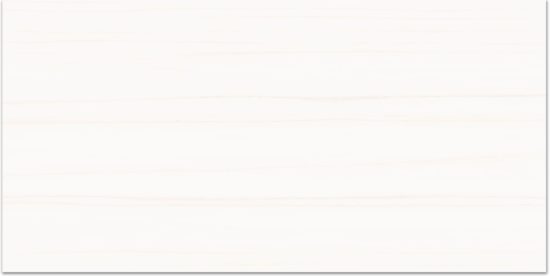 Treasure Ultimate Dolomite 12x24 Polished | Glens Falls Tile & Supplies
