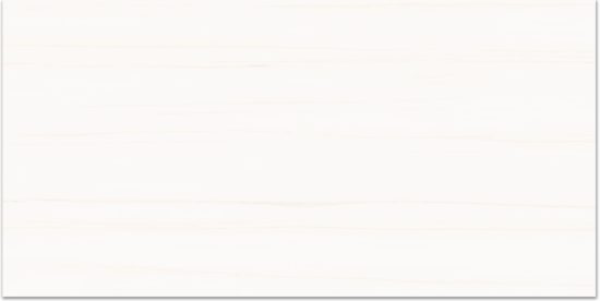 Treasure Ultimate Dolomite 12x24 Polished | Glens Falls Tile & Supplies