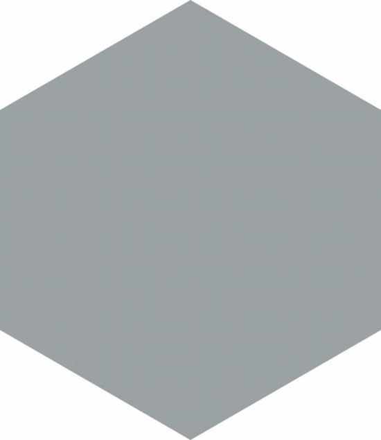Vida 5.5X6.3” Grey Hexagon | Glens Falls Tile & Supplies