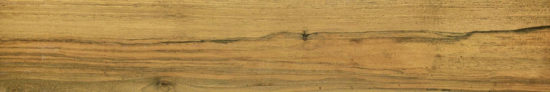 Warm Honey 6X36 | Glens Falls Tile & Supplies